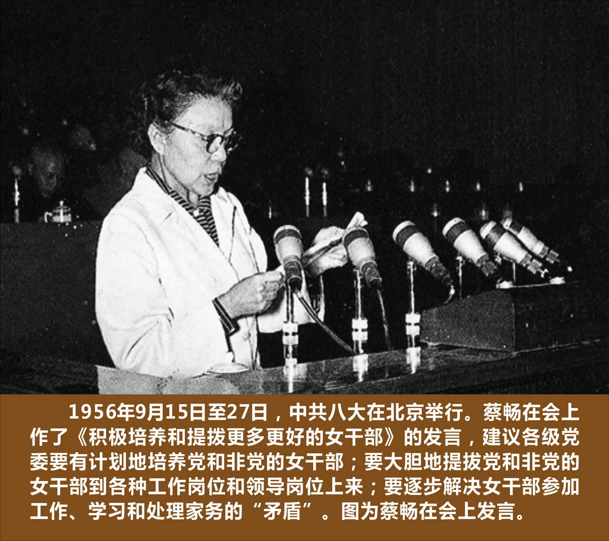 1956年9月15日至27日 蔡畅在中共八大上发言.jpg